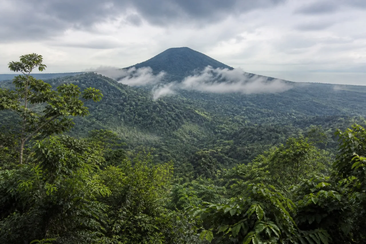 Volcán San Martín Tuxtla cubierto de selva.
