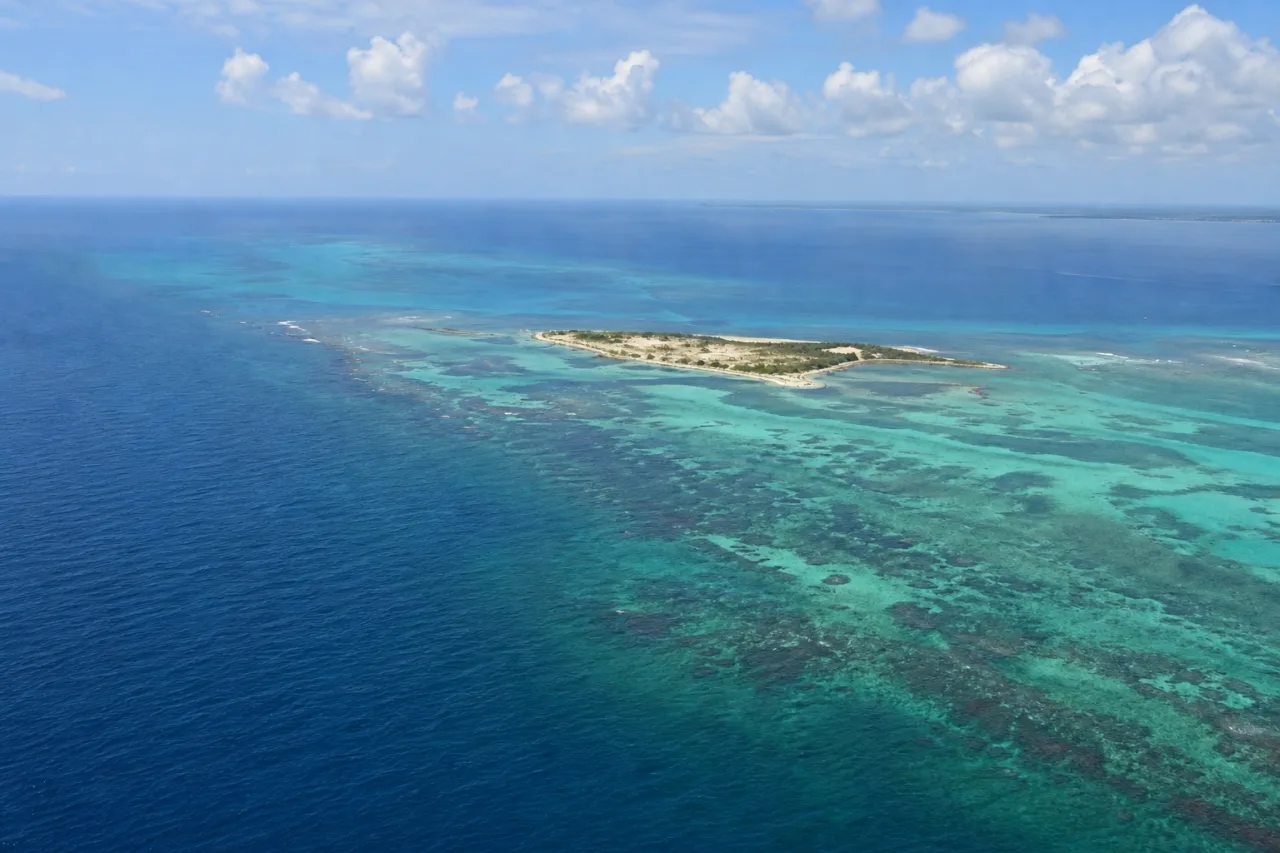 Vista aérea de una isla baja con vegetación y arrecifes en aguas turquesa del Golfo de México.