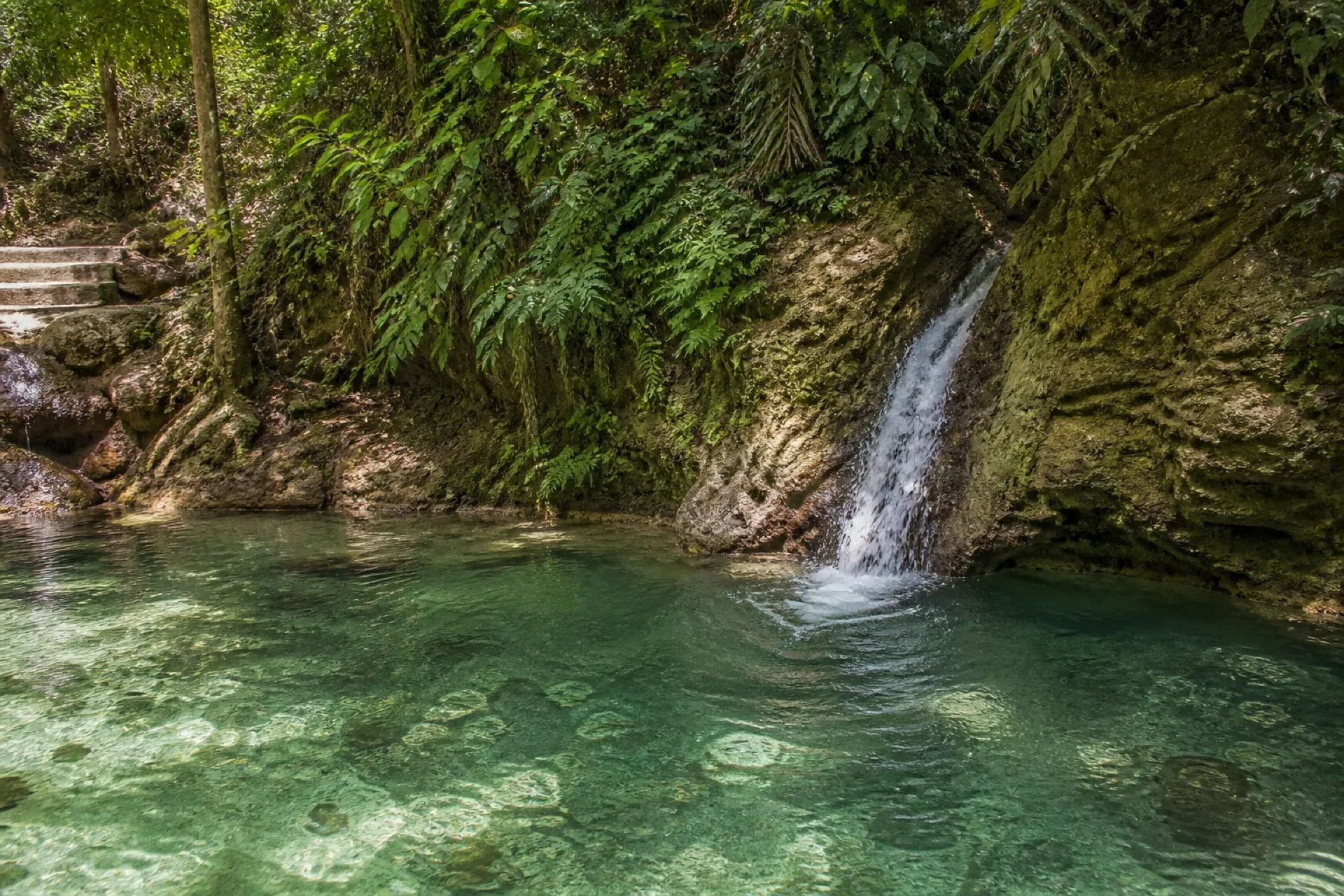 Manantial El Chorrito: surgencia entre roca y vegetación tropical.