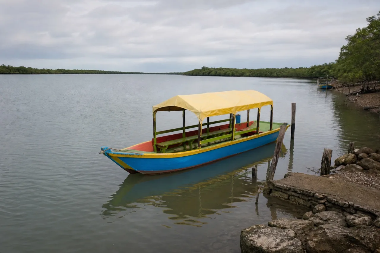 Lancha de colores con toldo en una laguna de mangle.