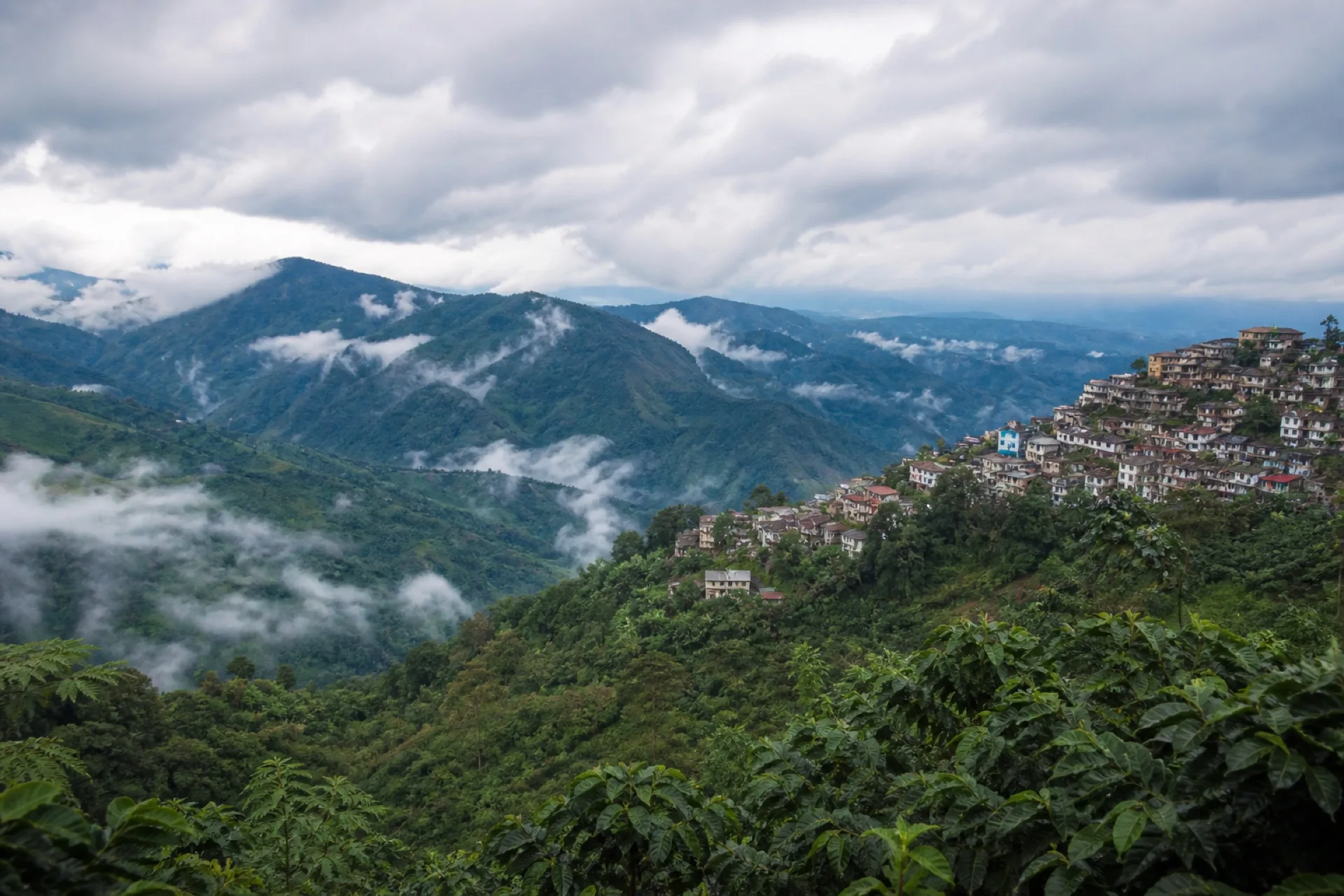 Sierra de Huatusco y Coscomatepec, laderas cafetaleras.