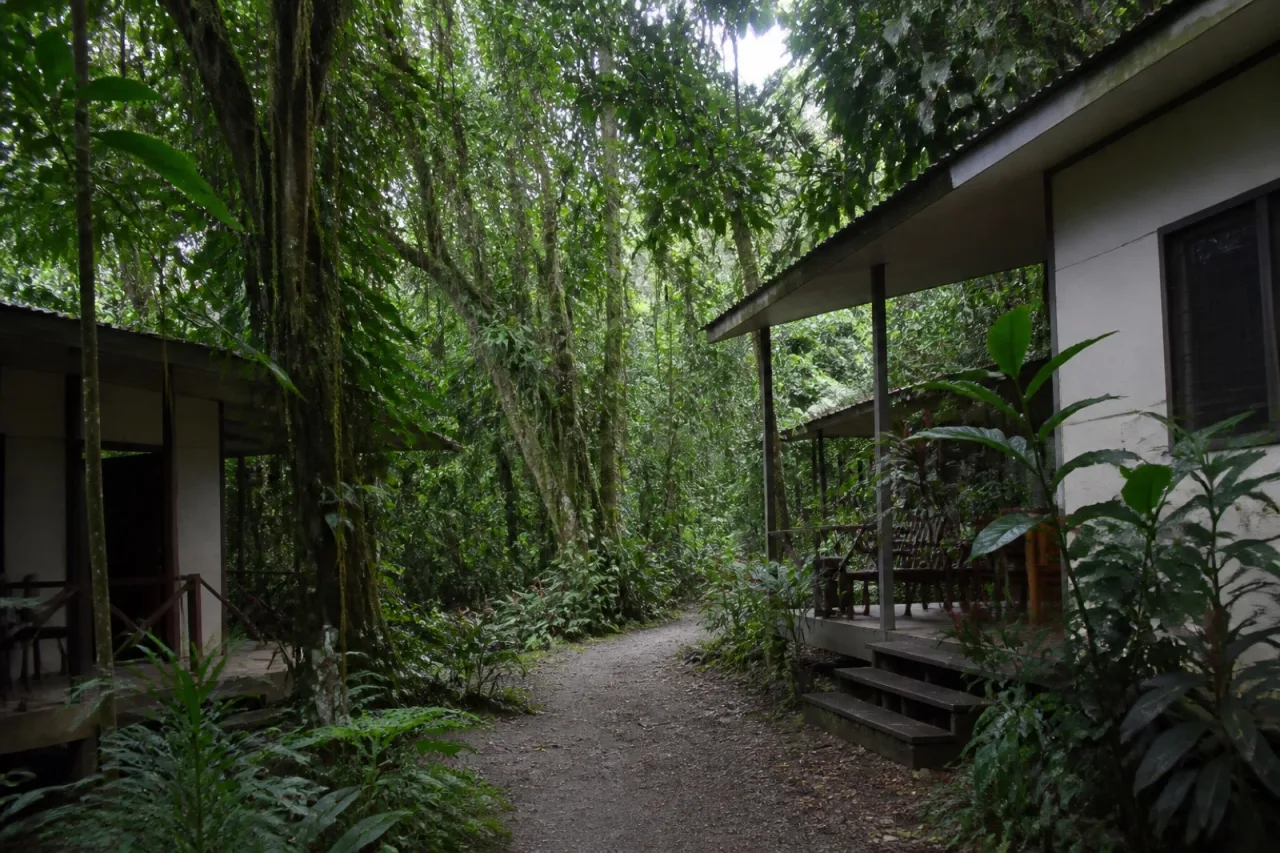 Estación de Biología Tropical Los Tuxtlas entre selva.
