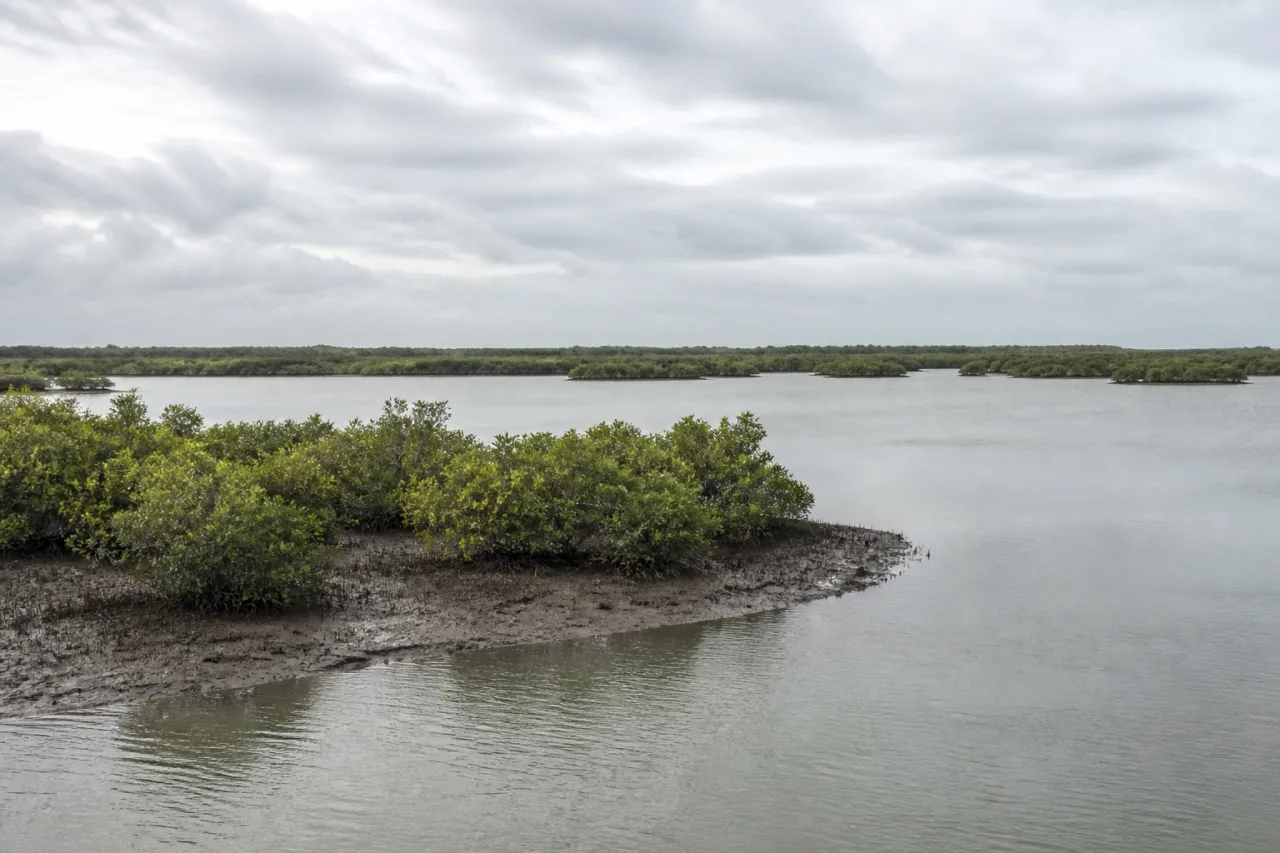 Laguna y manglares bajos bajo cielo nublado al norte de Tuxpan.