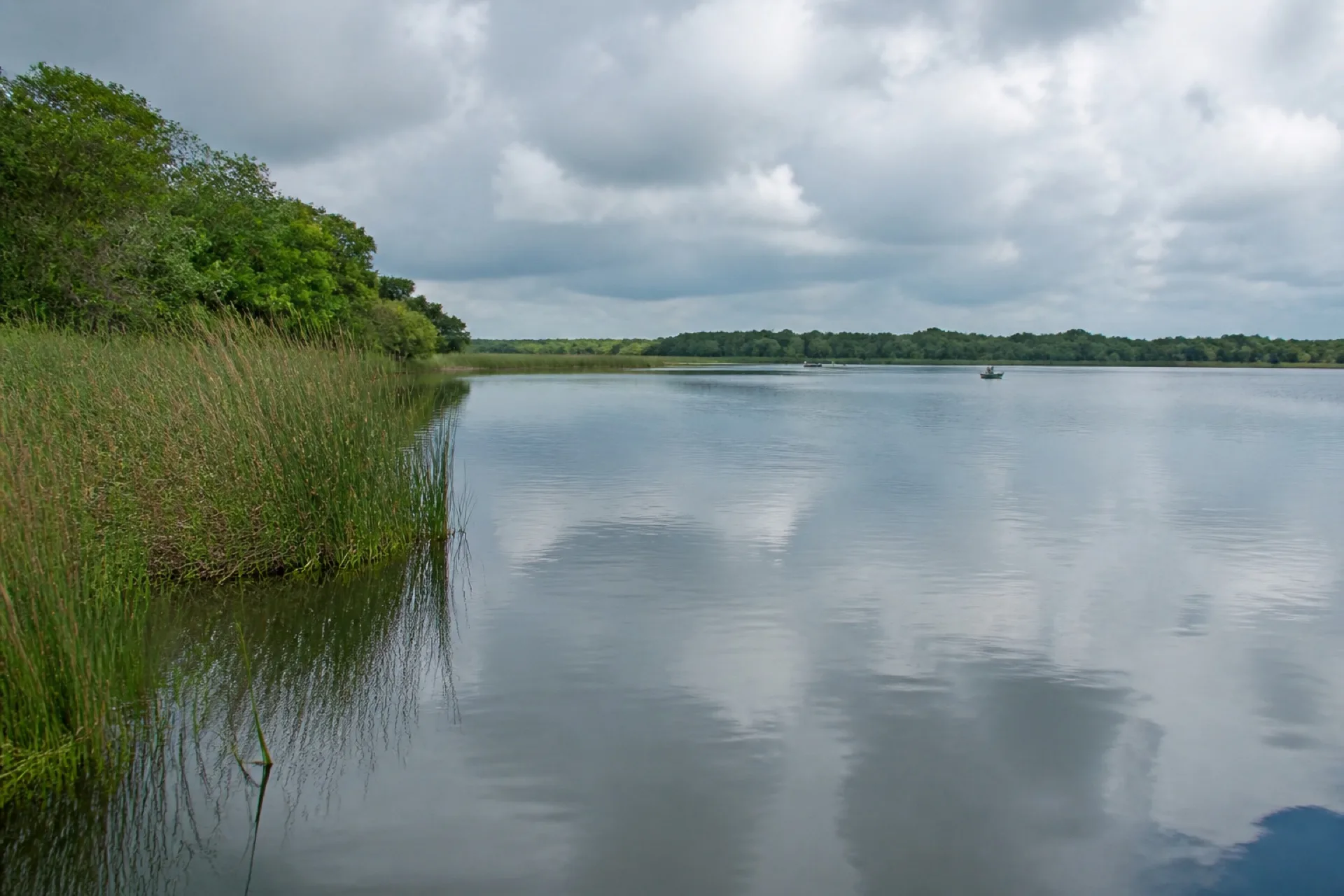 Laguna de agua quieta rodeada de vegetación baja en la llanura de Pánuco.