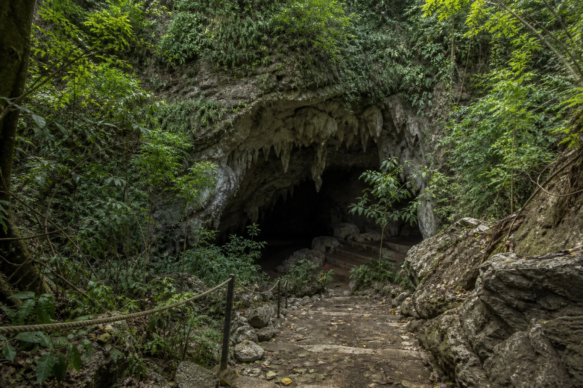 Acceso boscoso a la cueva-santuario Tzontikomostok en Tequila, Veracruz.