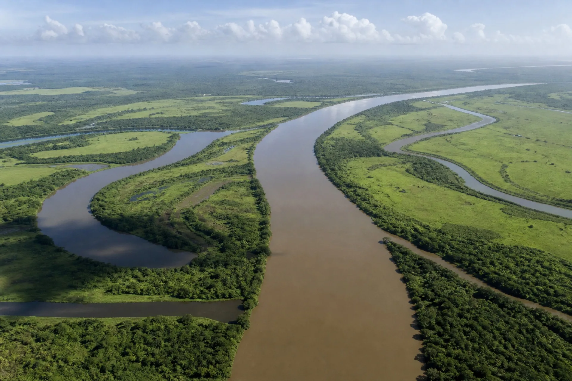 Sistema fluvial del Pánuco: río ancho entre llanura y humedales.
