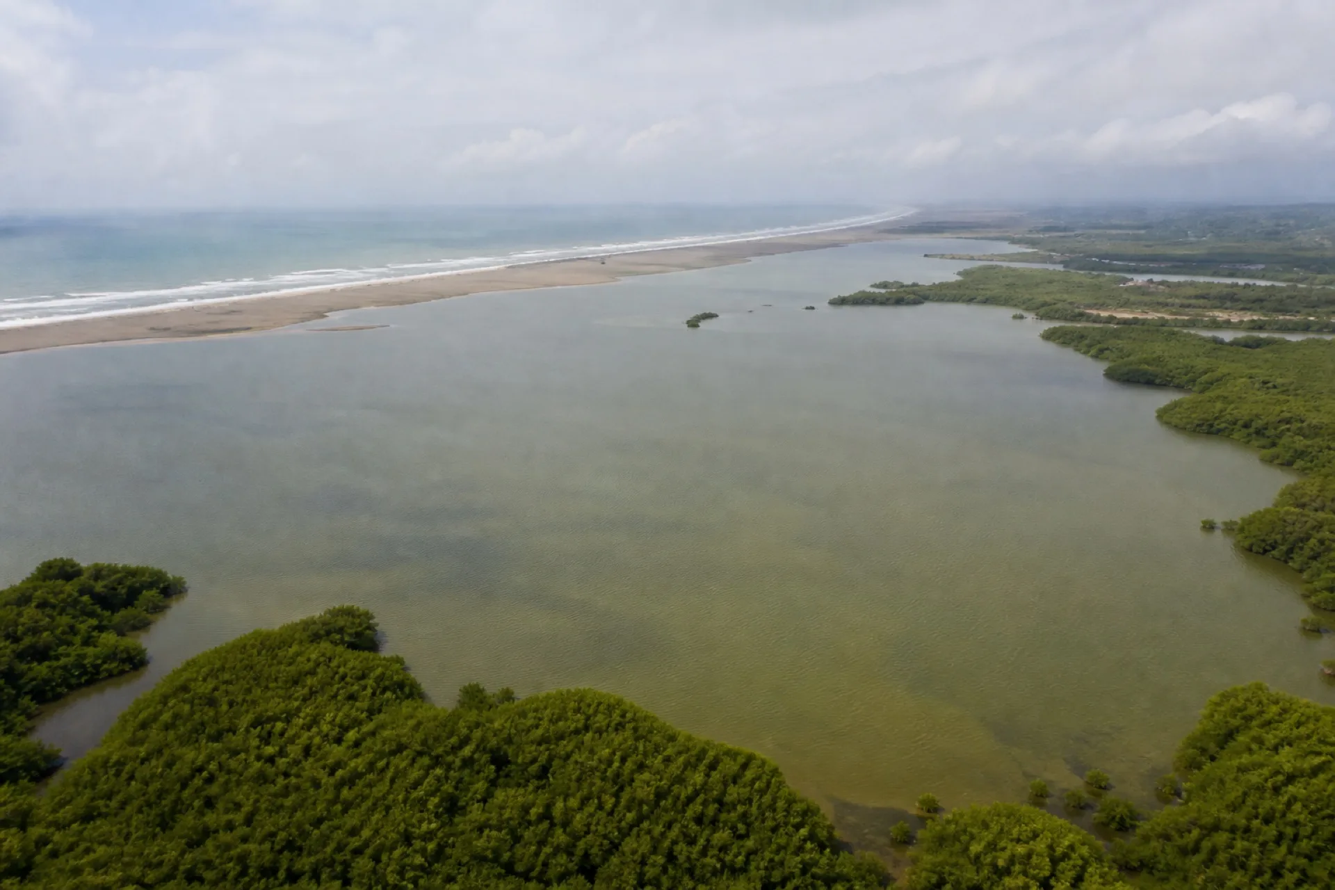 Laguna del Ostión: agua verde-parda, manglar y bruma del Golfo.