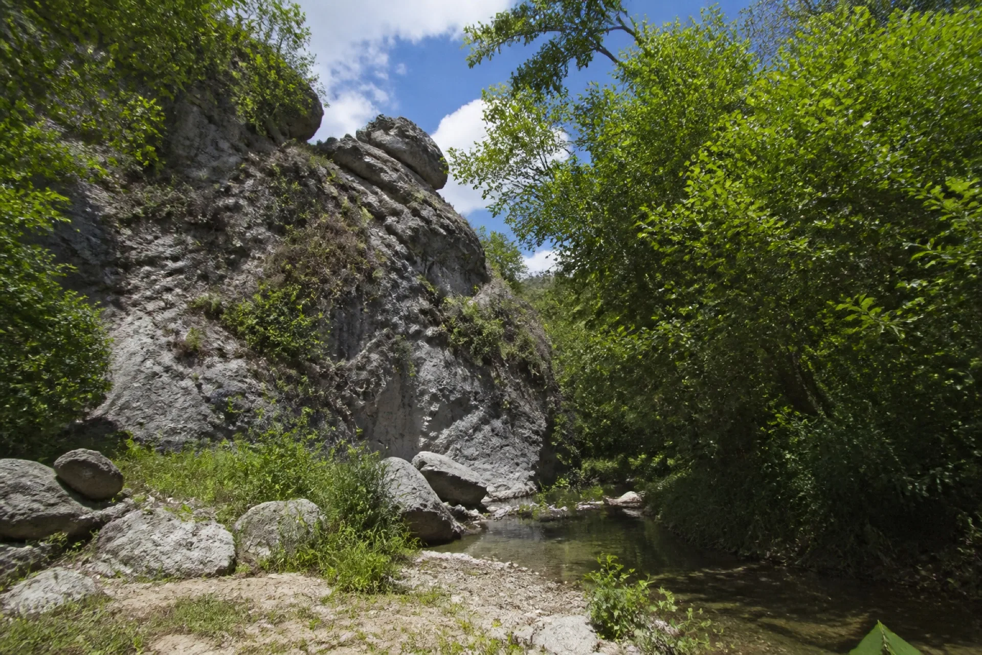 Cauce de río sobre laja con vegetación tropical en Tancoco.