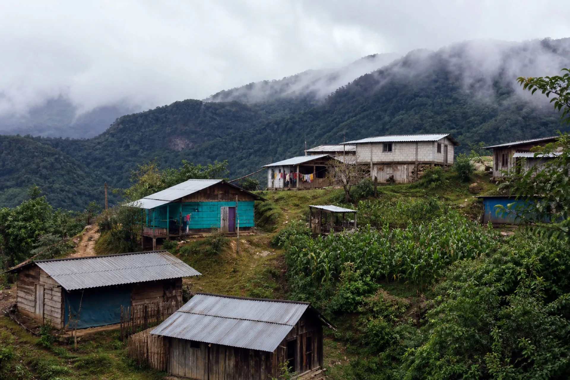 Localidad de Tzicatlán en sierra, casas y milpa en ladera.