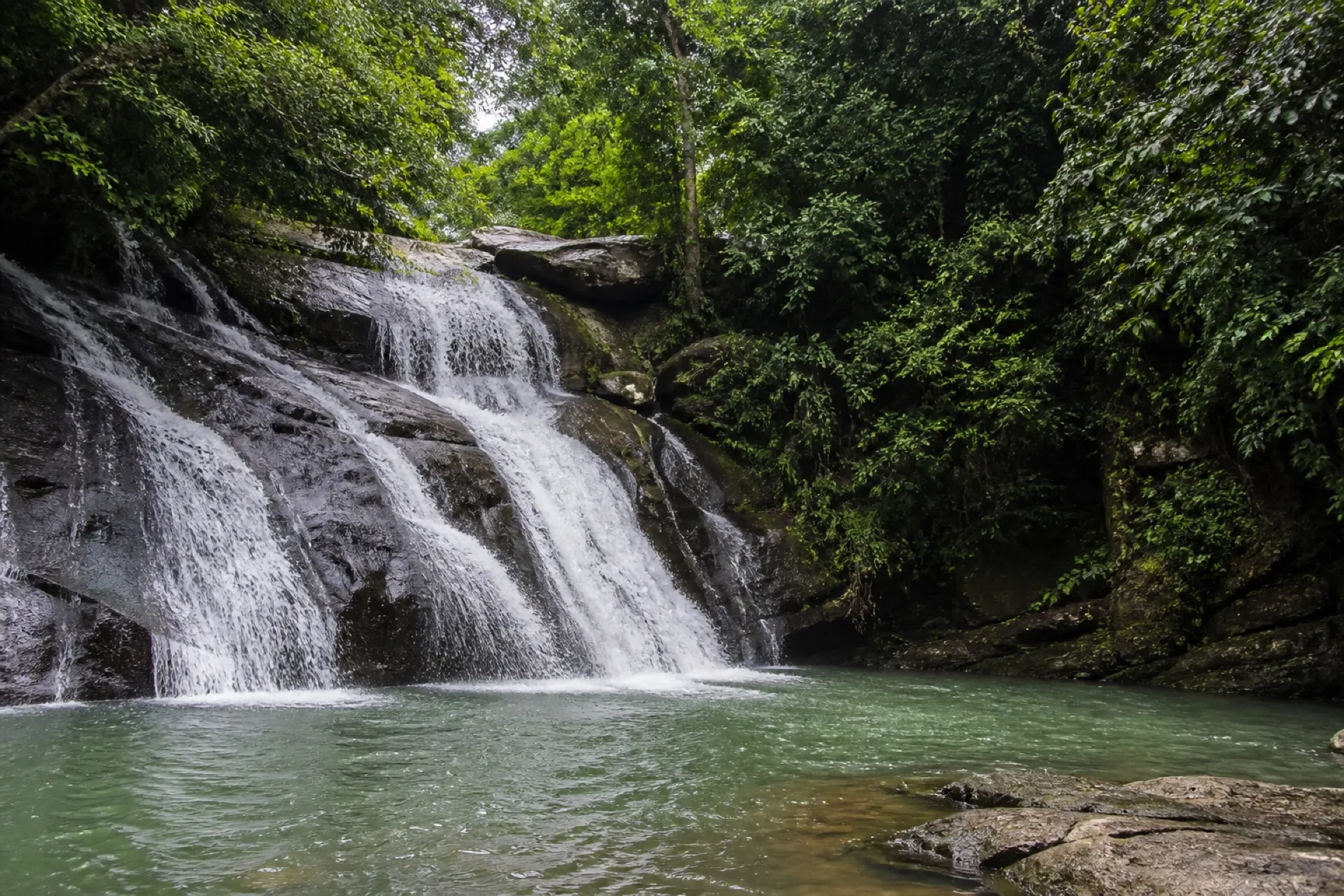 Cascadas de Playa Santa: salto de selva sobre roca hacia un pozo verde.