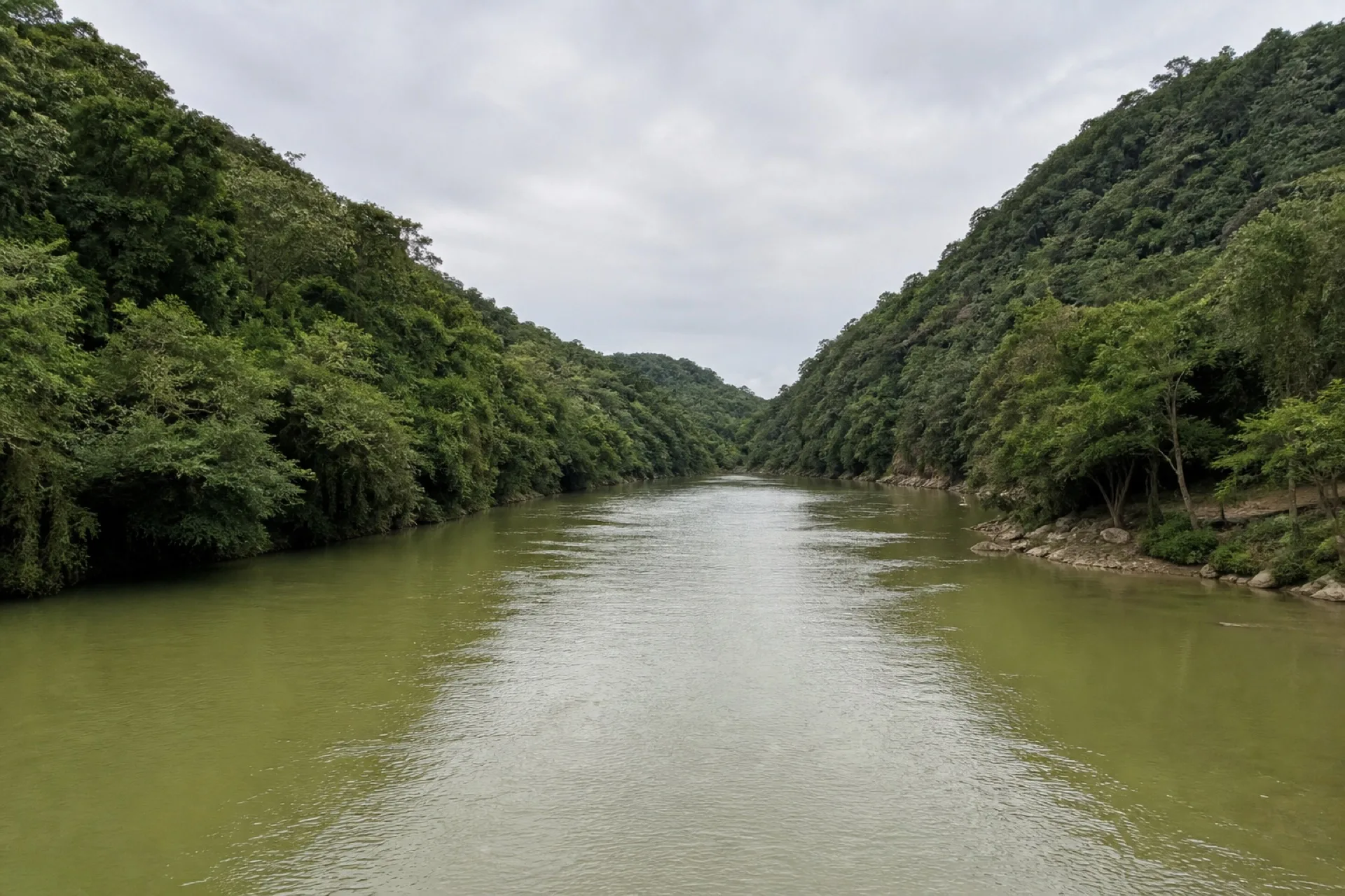 Cauce del río Vinazco entre lomerío de Ixhuatlán de Madero.