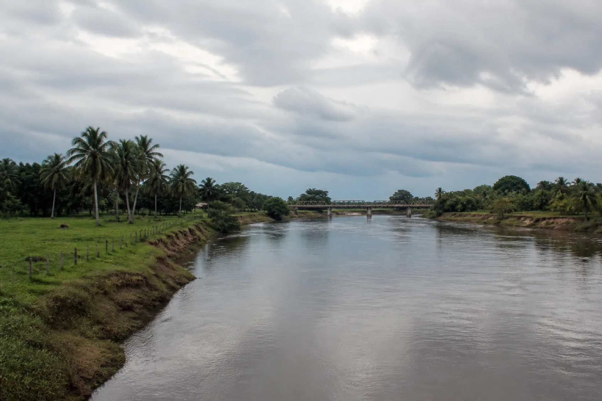 Cuenca del Tonalá: río ancho, palmas y puente lejano en el sur de Veracruz.
