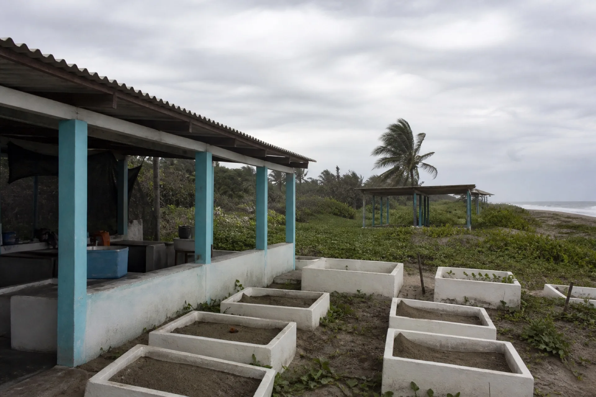 Campamento de conservación de tortuga marina en El Raudal.