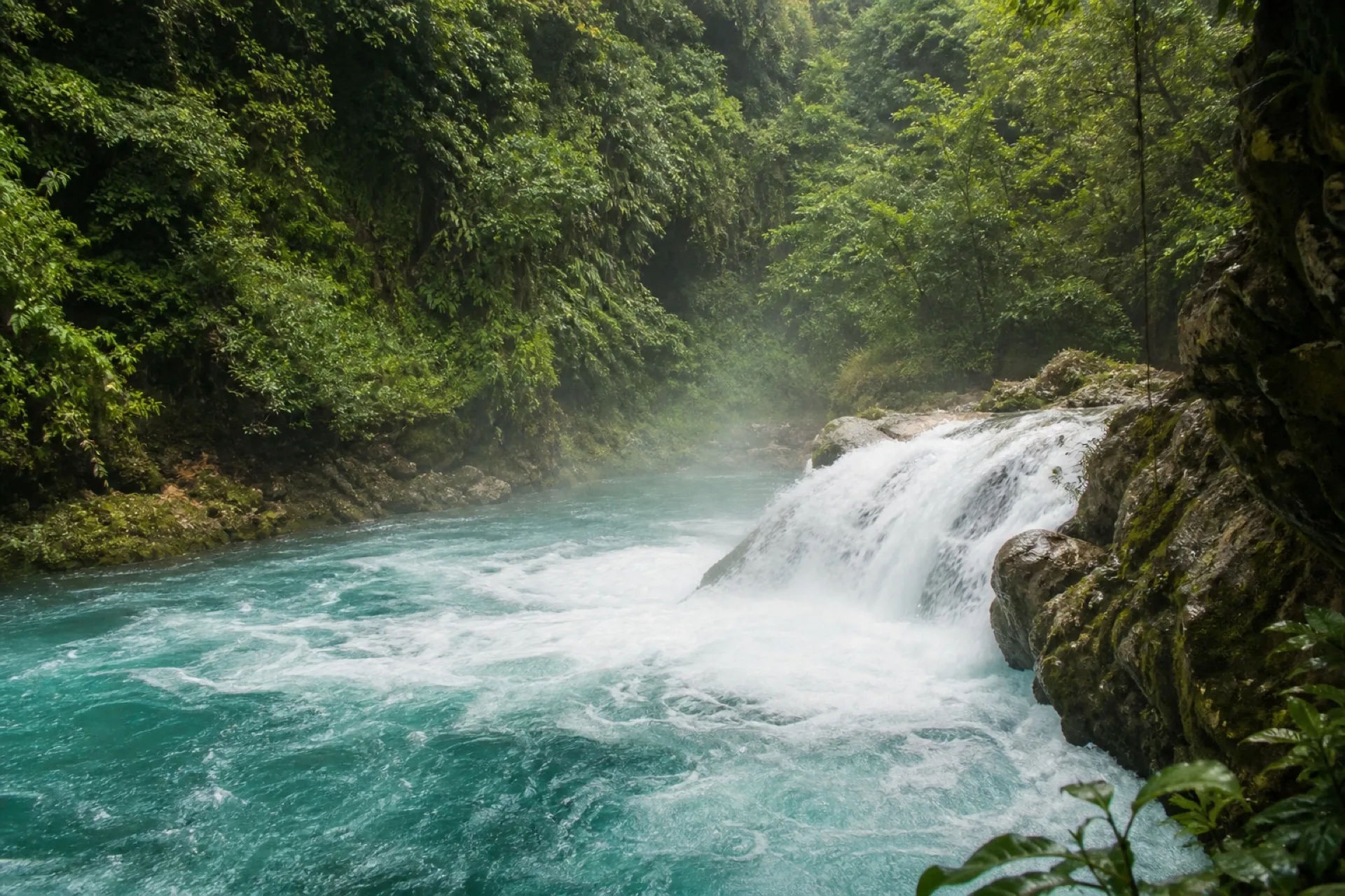 El Descabezadero: manantial y caída del río Actopan entre vegetación húmeda.
