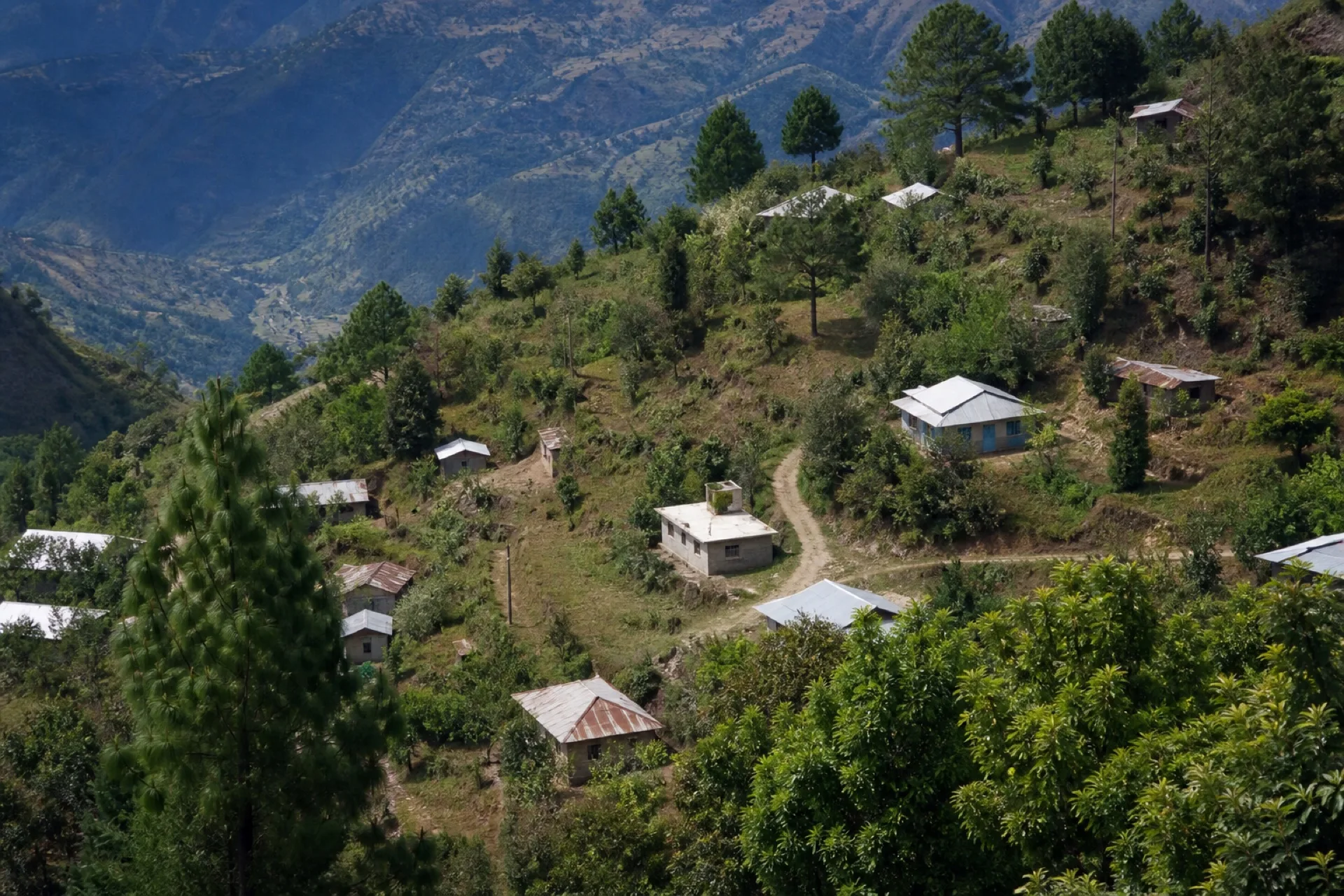 Localidad de ladera Las Porfiadas en Soledad Atzompa.