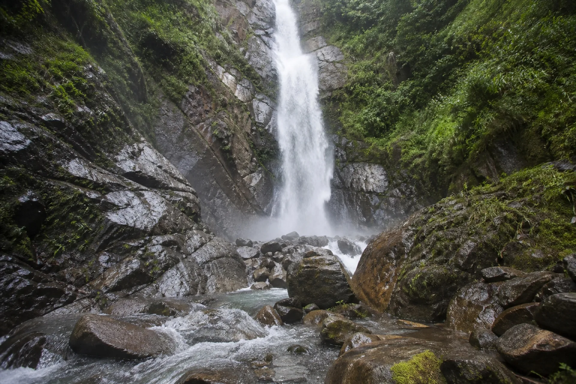 Cascada de montana entre bosque de niebla en la Sierra de Zongolica.