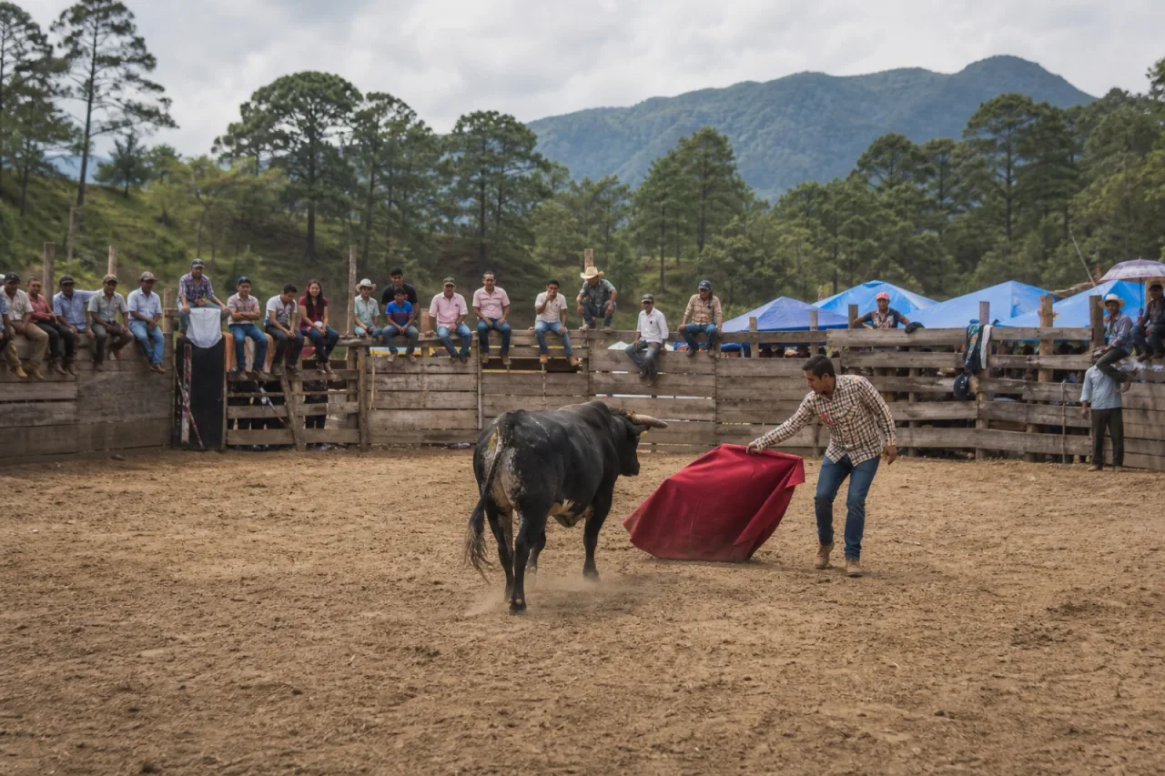 Capea en el lienzo de Xico, público en la palizada.