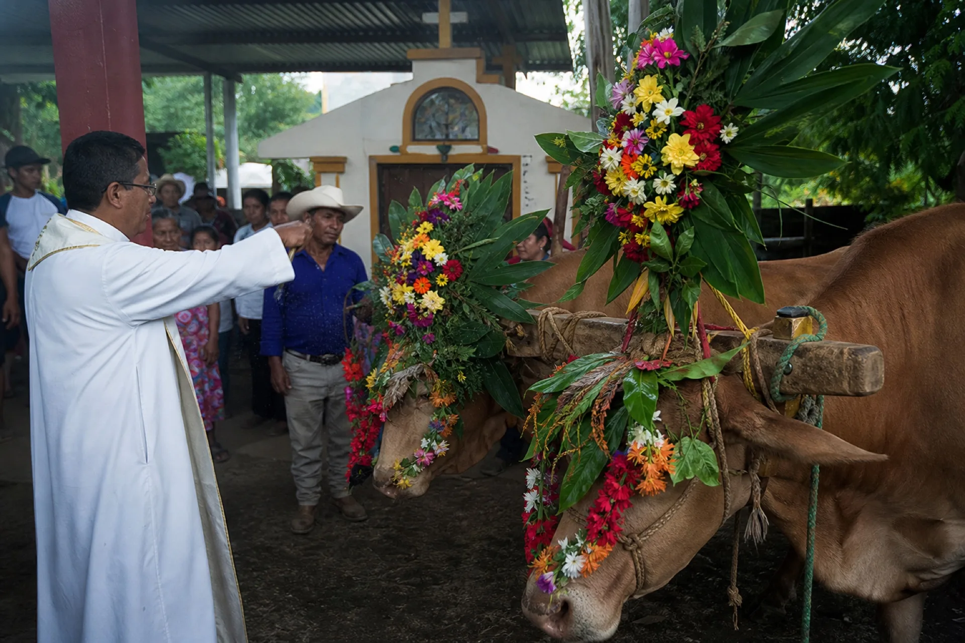 Fiesta de San Isidro Labrador con ofrenda agrícola en Tlapacoyan.