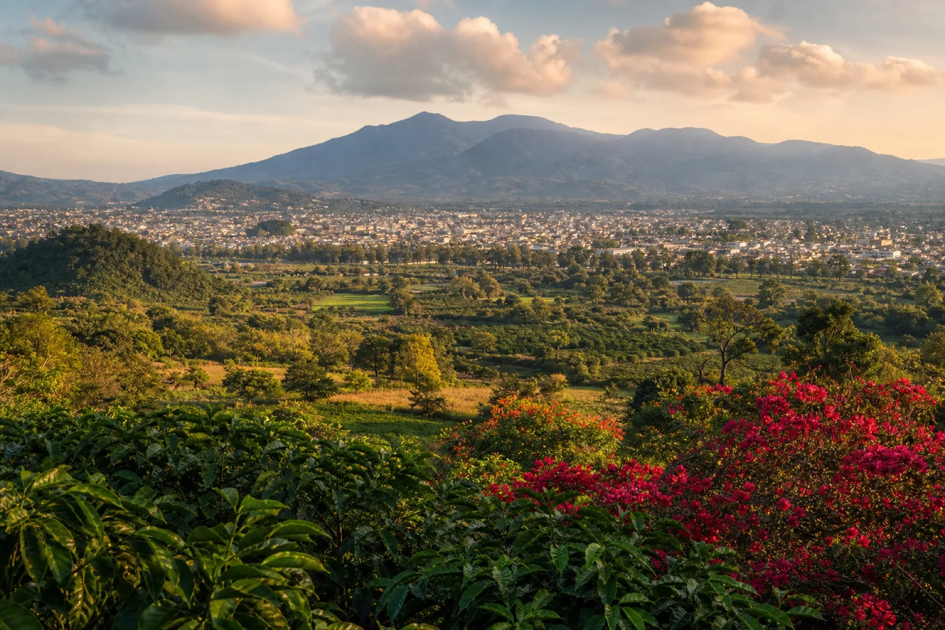 Valle de Córdoba: café, flores y lomerío.
