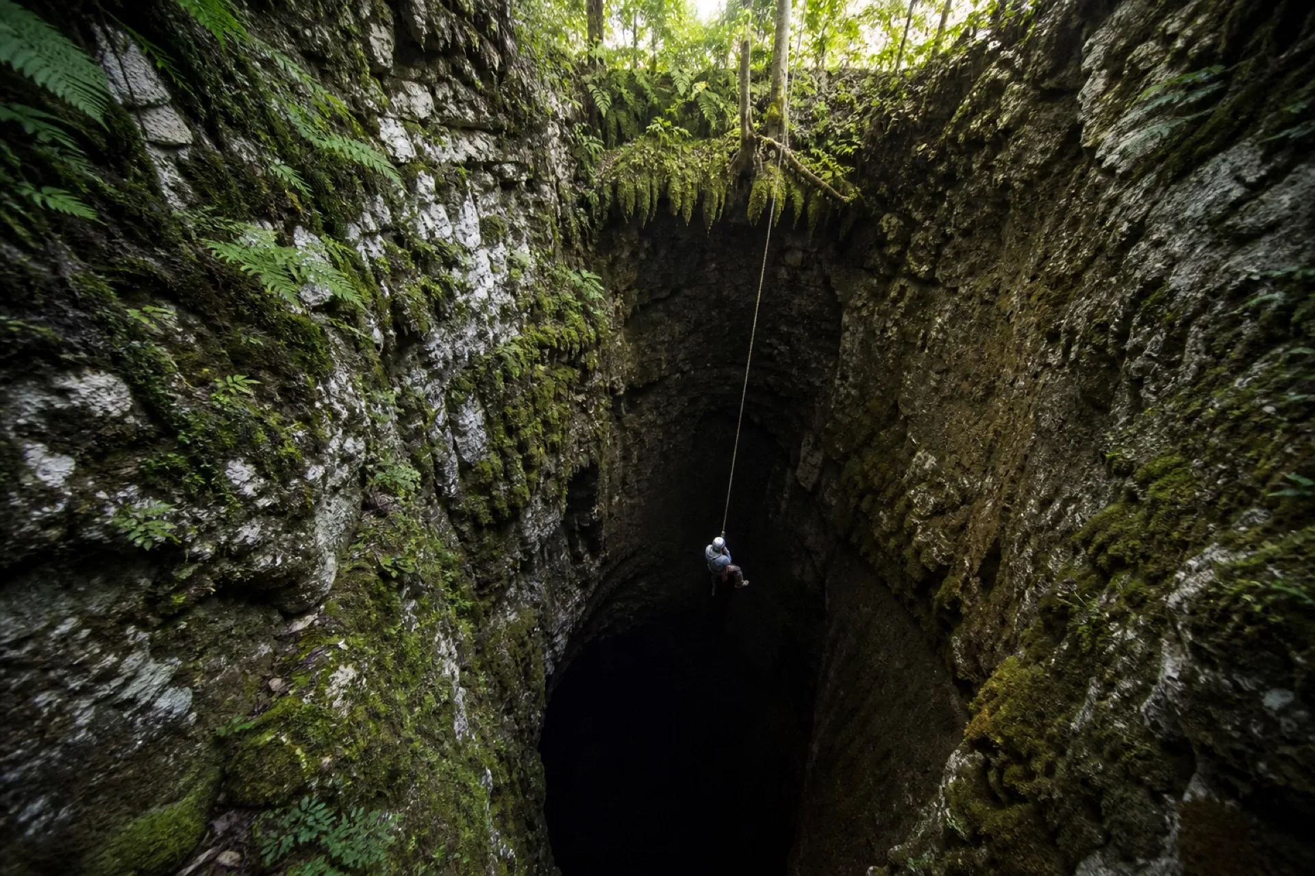 Rappel tecnico hacia un sotano de karst en bosque de Zongolica.