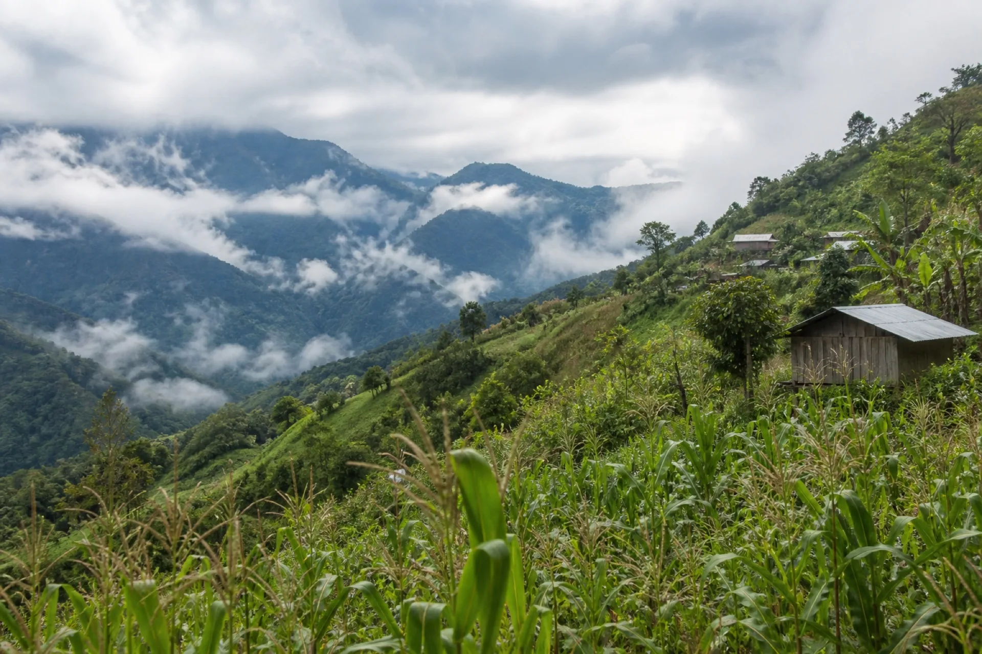 Localidad serrana de Ahuimol entre lomerío y milpa.