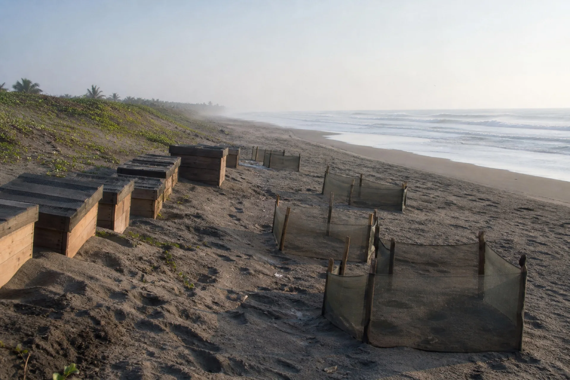 Playa de anidación con dunas y oleaje del Golfo en Tuxpan.