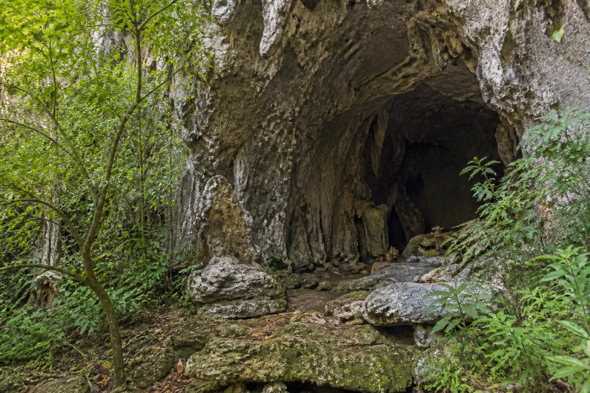 Boca de cueva ritual en bosque de El Porvenir, Zongolica.
