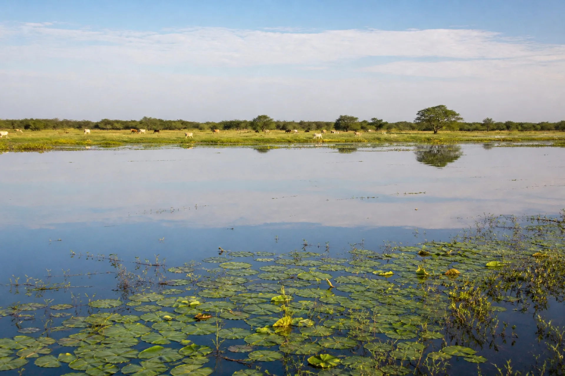 Laguna interior con orilla de pasto y cielo nublado en Pánuco.