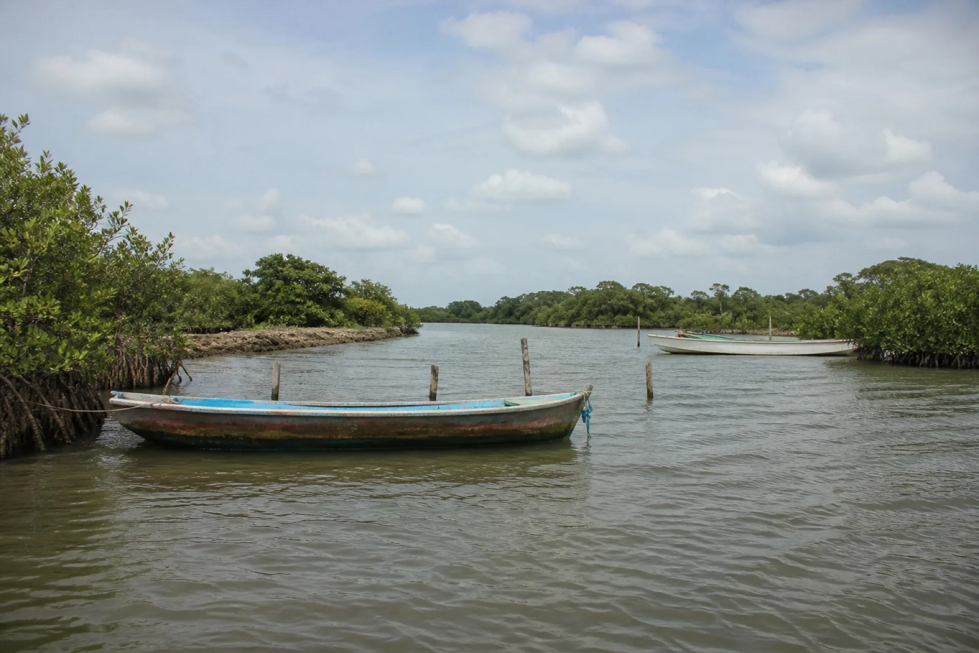 Boca de estero en Tres Bocas con pangas y mangle.
