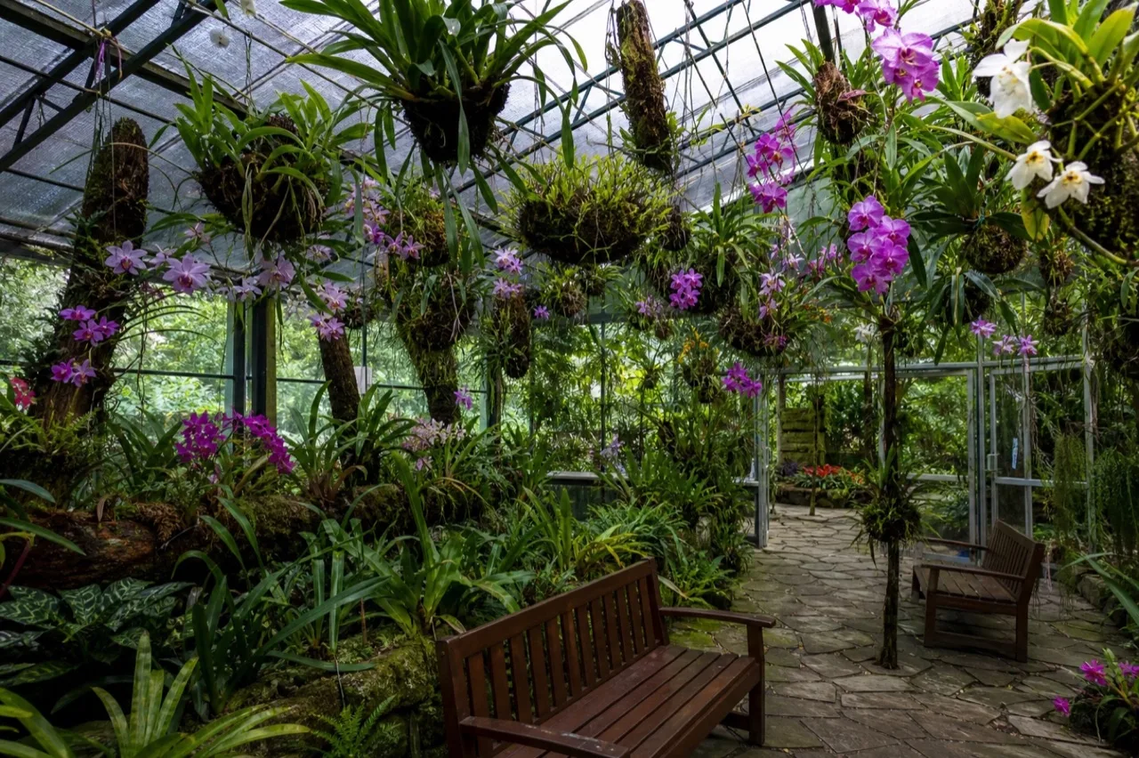 Invernadero de orquídeas del museo de Coatepec.