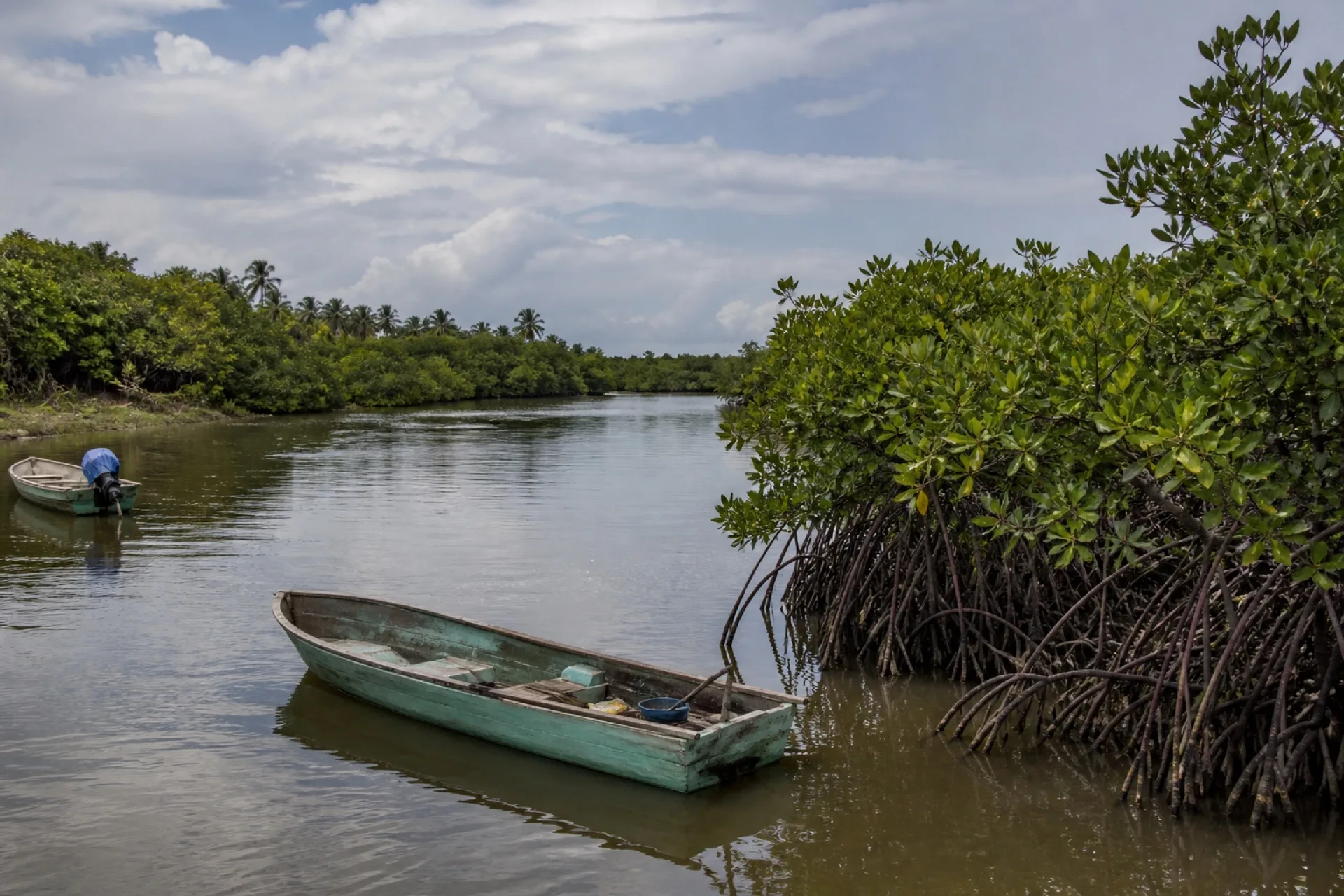 Estero de manglar en Nautla con pangas en agua calmada.