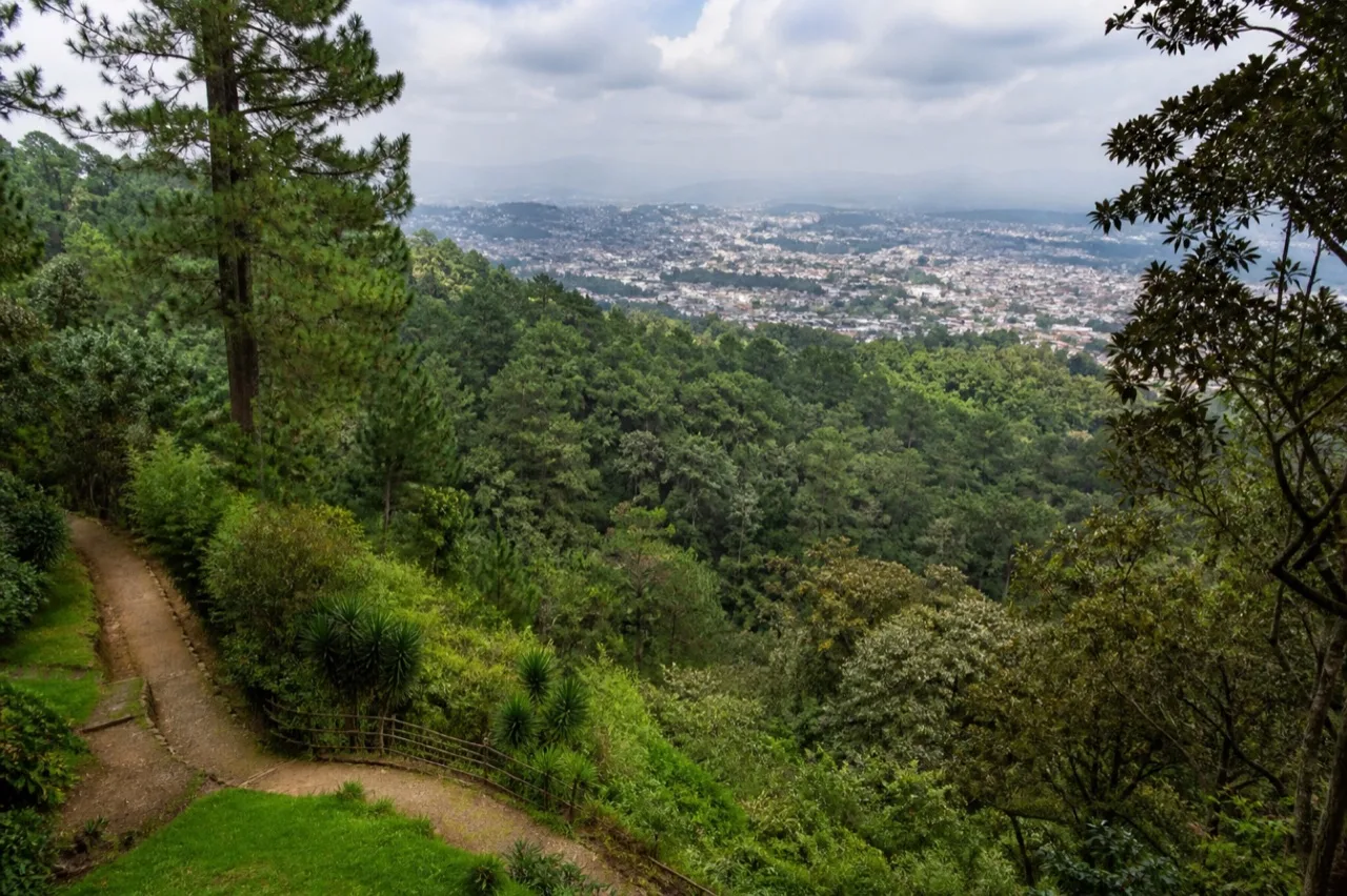 Sendero forestal del Parque Ecológico Macuiltépetl sobre Xalapa.