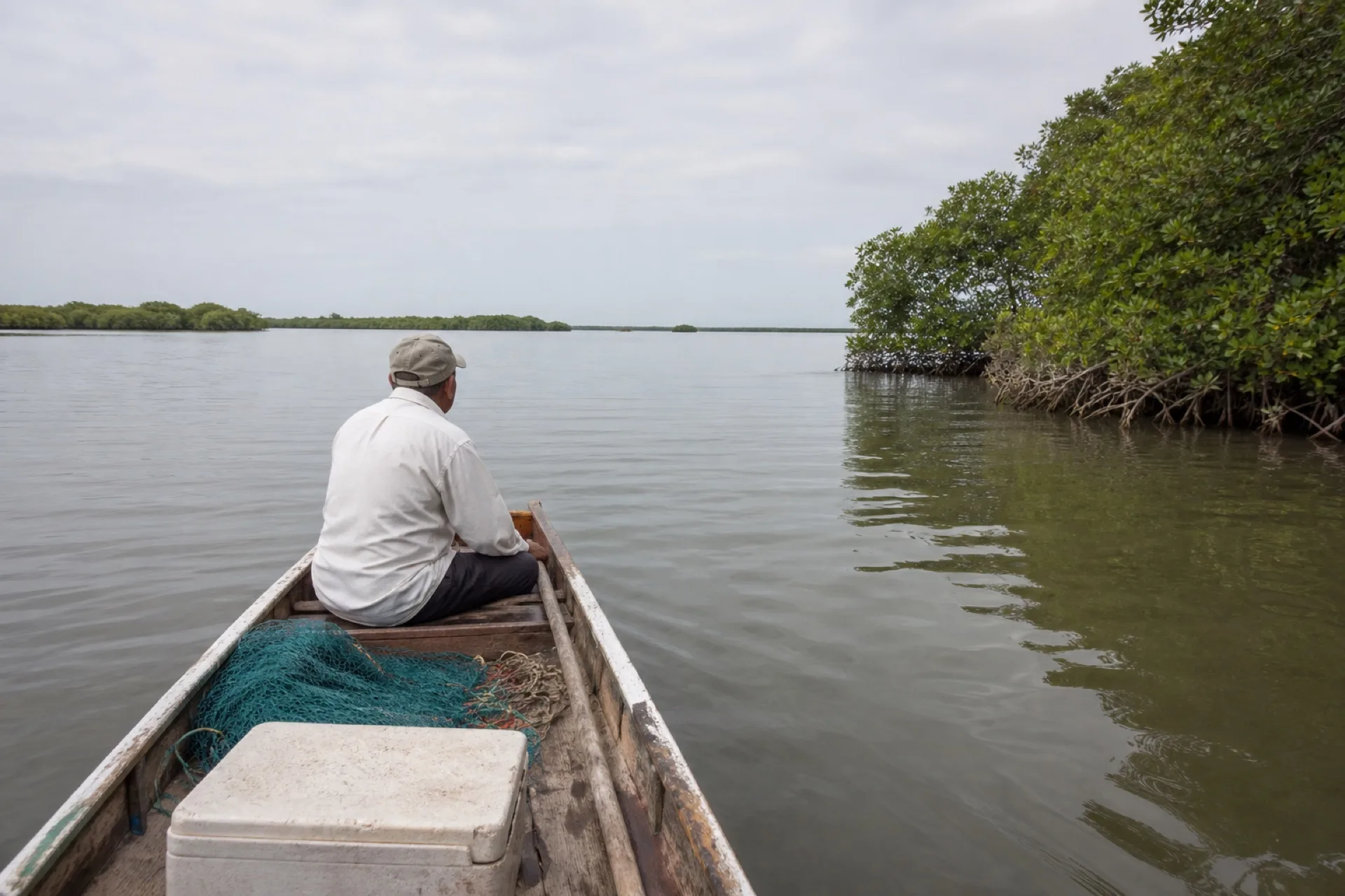 Panga en una laguna de mangle en Ozuluama.