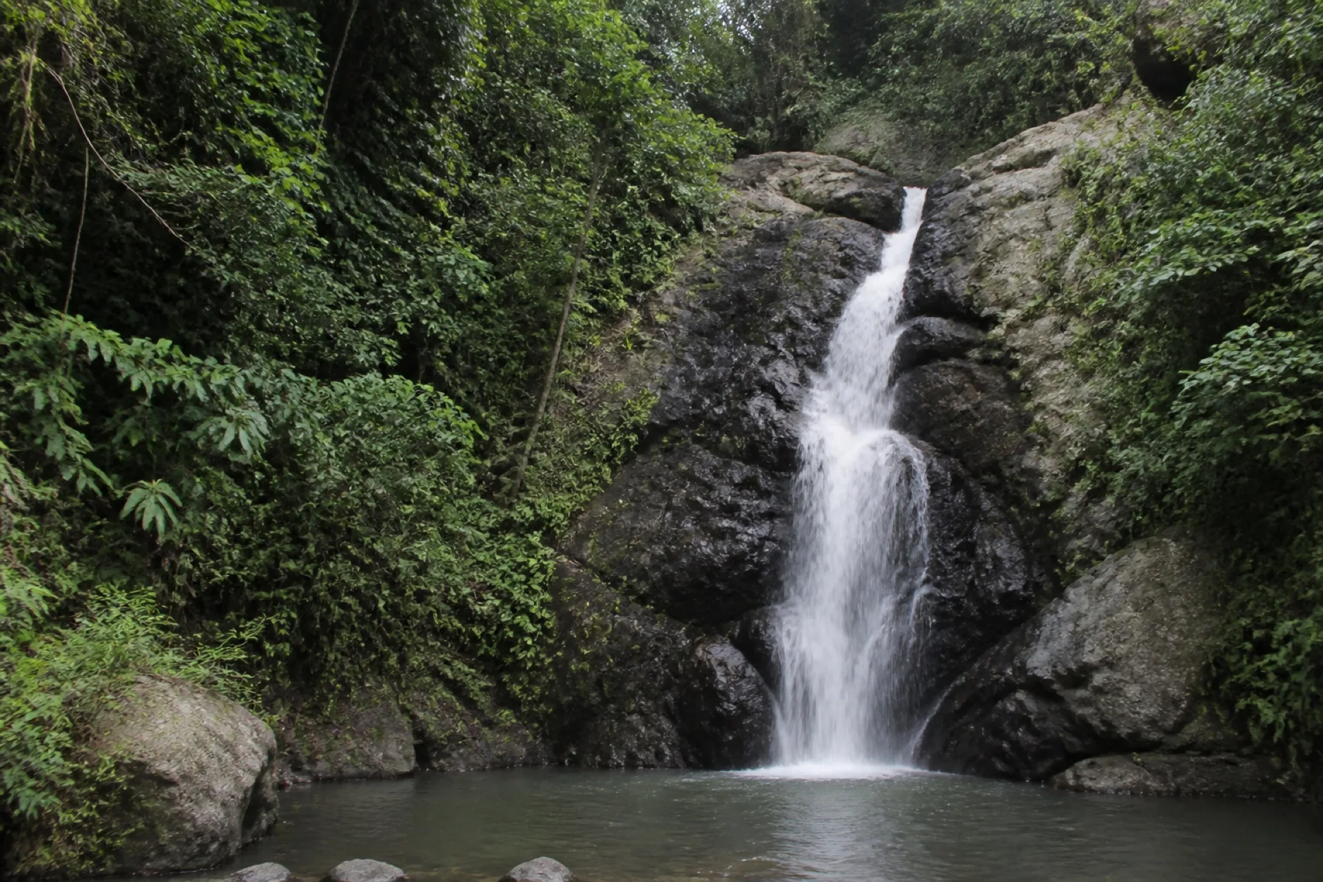 Cascada entre vegetación en Ixhuatlán de Madero.