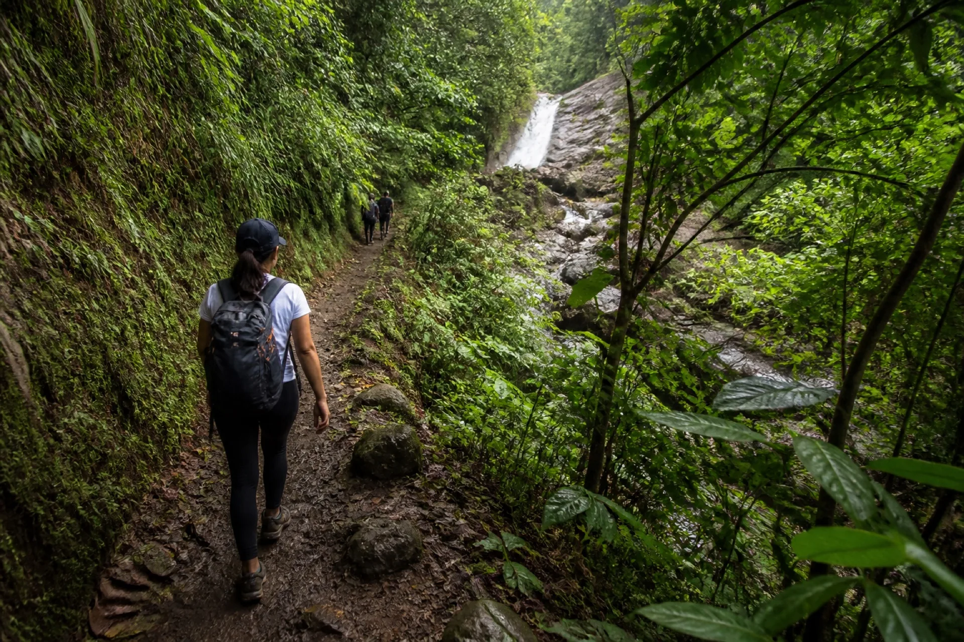Sendero de selva hacia las Cascadas de Playa Santa.