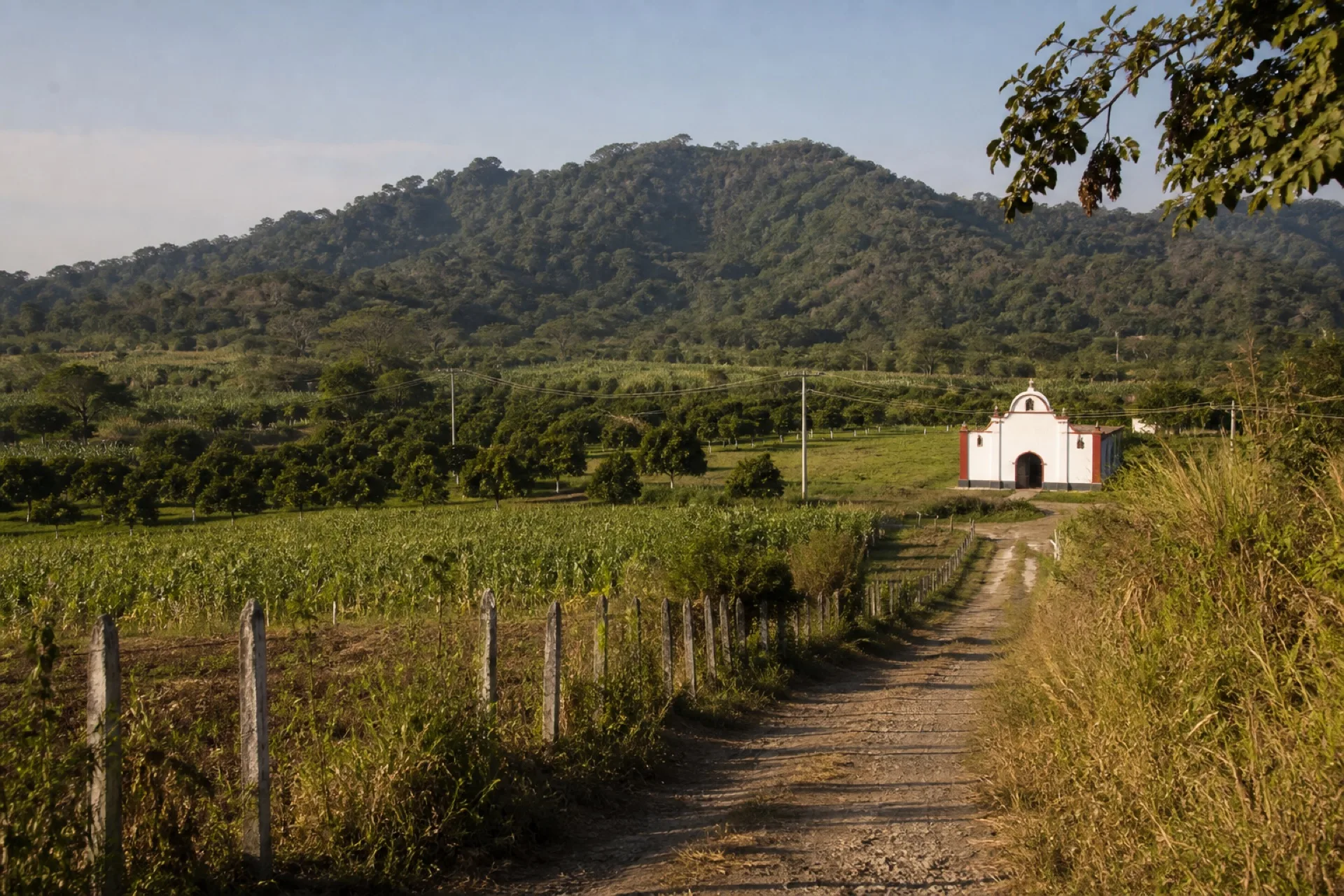 Localidad rural de La Lima Nueva con milpa y capilla.
