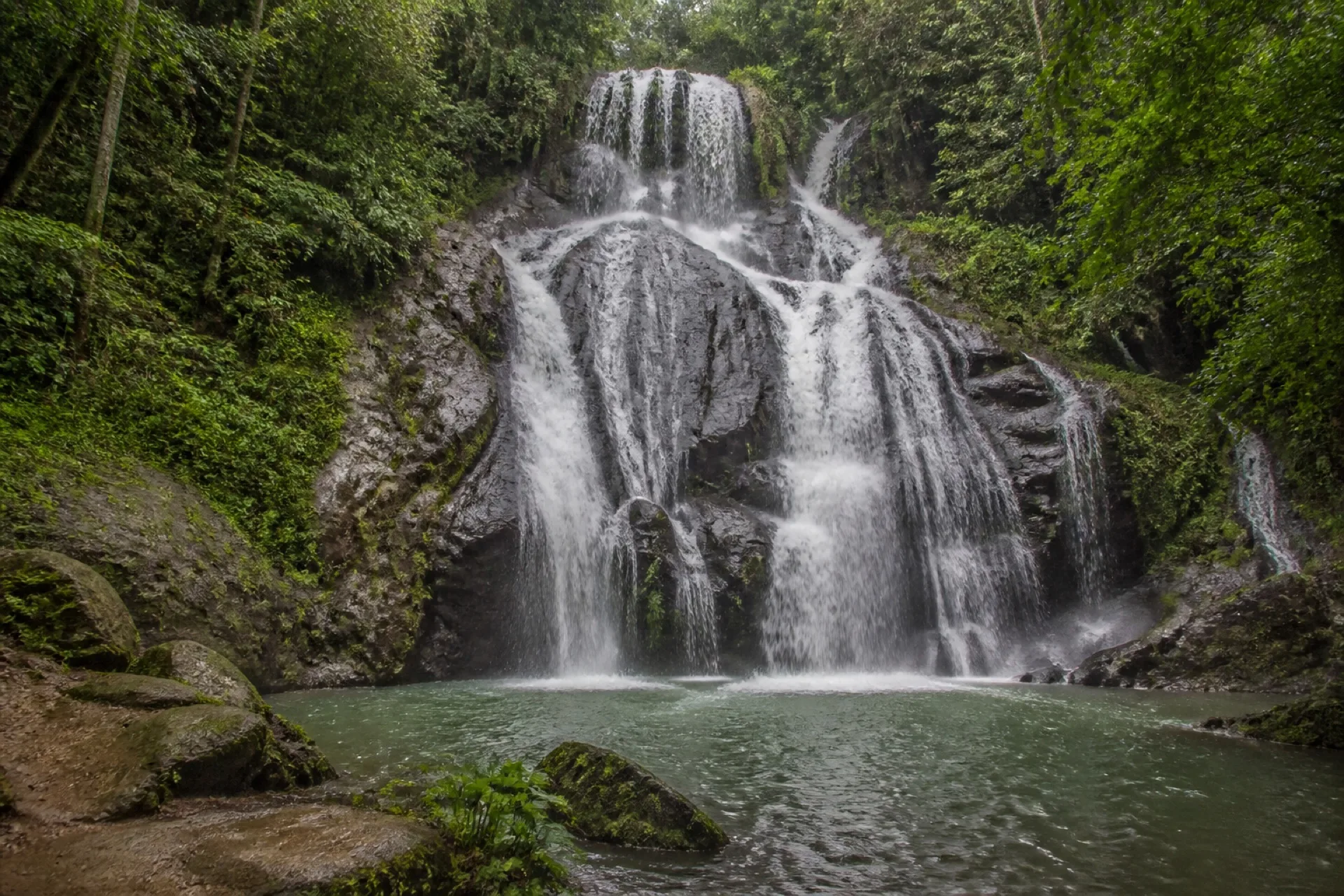 Cascada de Tomata sobre roca oscura en selva de Tlapacoyan.