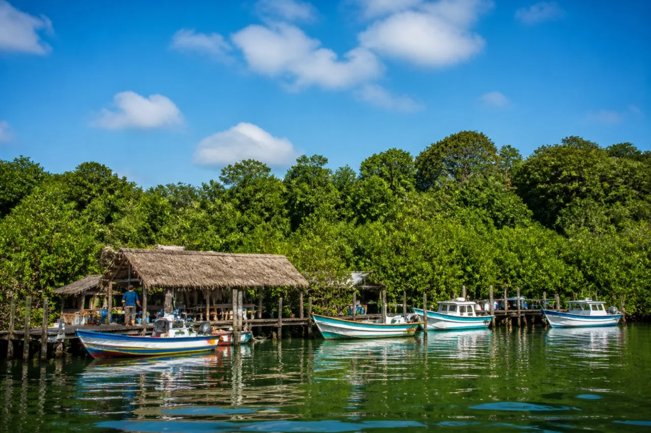 Embarcadero de Sontecomapan con pangas y palapas junto al manglar.