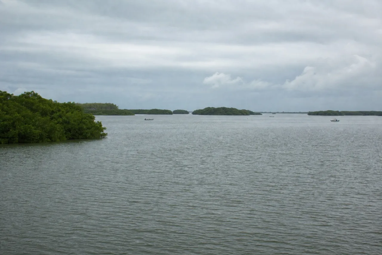 Laguna costera amplia con islas de mangle bajo cielo nublado.