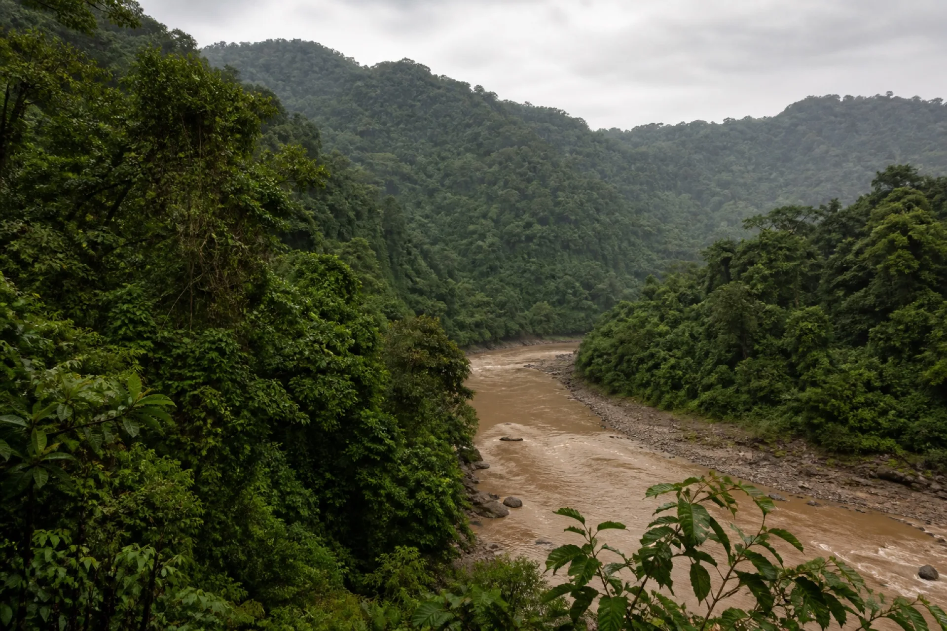 Valle selvático de Uxpanapa con río lodoso entre bosque tropical.